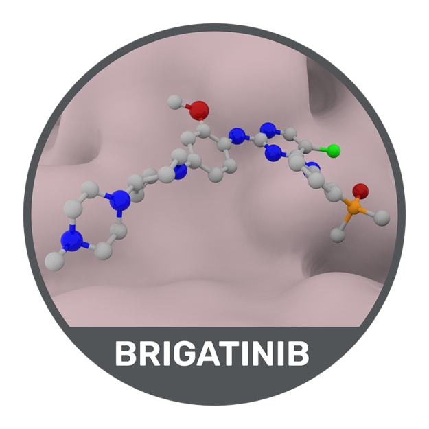 Brigatinib mechanism of action illustration.